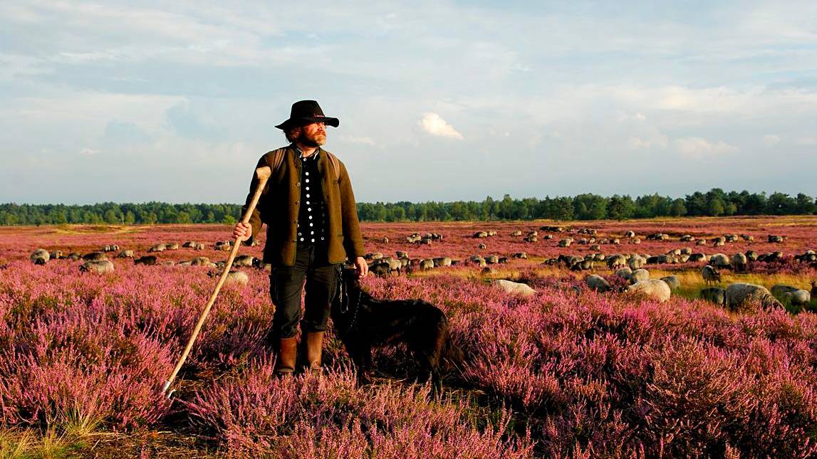 Beschermd natuurgebied Moosheide